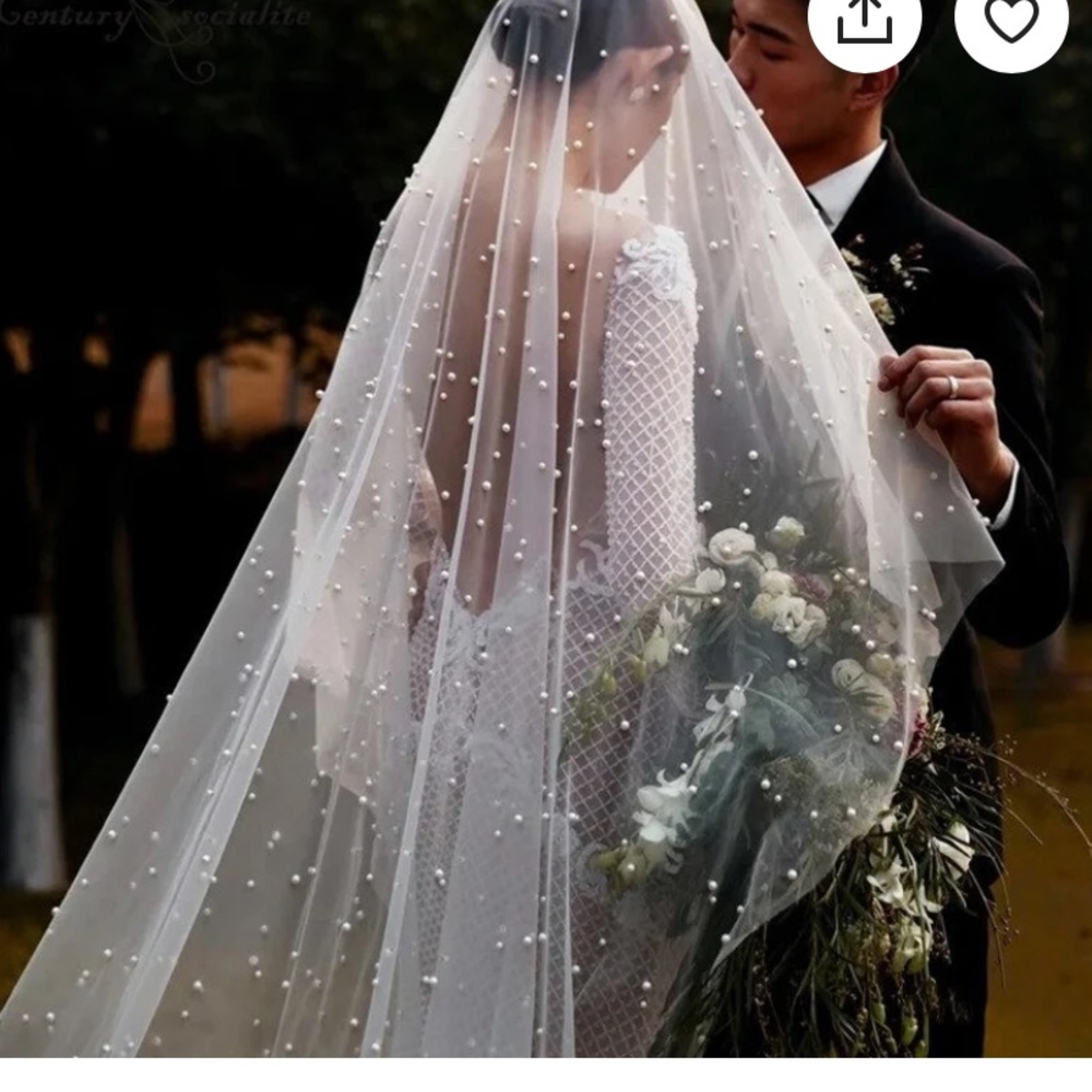 Pearl blusher and veil worn for my wedding day (last pic)